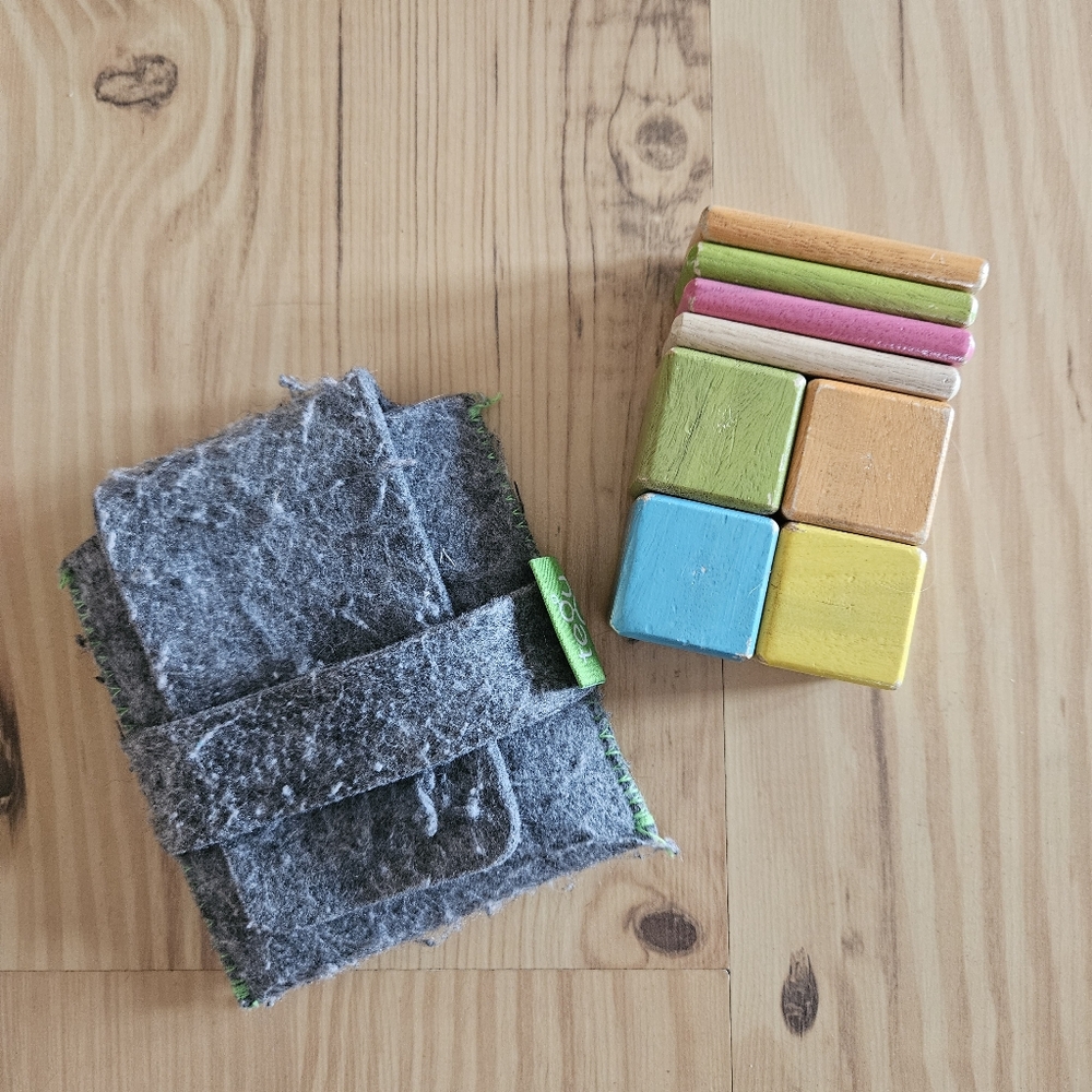 Tegu Magnetic Blocks Travel Set